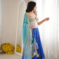 Indraneel Lehenga Set